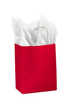 Medium Glossy Red Paper Shopping Bags - Case of 100