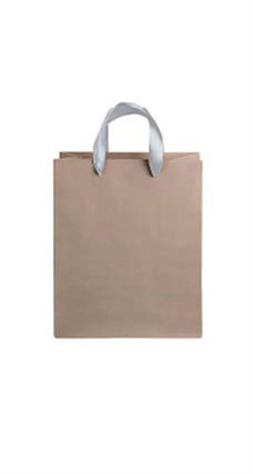 Medium Kraft Premium Folded Top Paper Bags Silver Ribbon Handles
