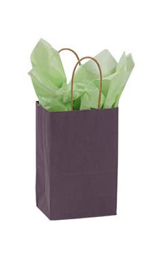 Small Plum Paper Shopping Bags - Case of 25