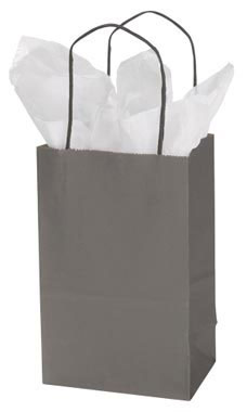 Small Storm Gray Paper Shopping Bags - Case of 25