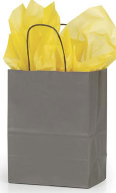 Medium Storm Gray Paper Shopping Bags  - Case of 25