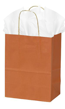 Medium Burnt Orange Paper Shopping Bags - Case of 25