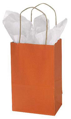 Small Burnt Orange Paper Shopping Bags - Case of 25