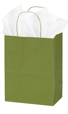 Medium Rain Forest Green Paper Shopping Bags - Case of 25