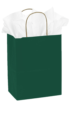 Medium Green Paper Shopping Bags - Case of 25