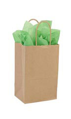 Small Kraft Paper Shopping Bags - Case of 100