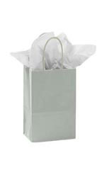 Small Glossy Silver Paper Shopping Bags - Case of 250