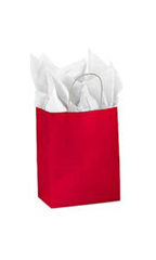 Medium Glossy Red Paper Shopping Bags - Case of 25